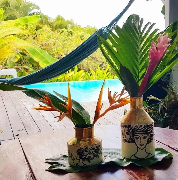 Villa Cocon Bleu , Plage A Pied ! Сент-Люс 0*,